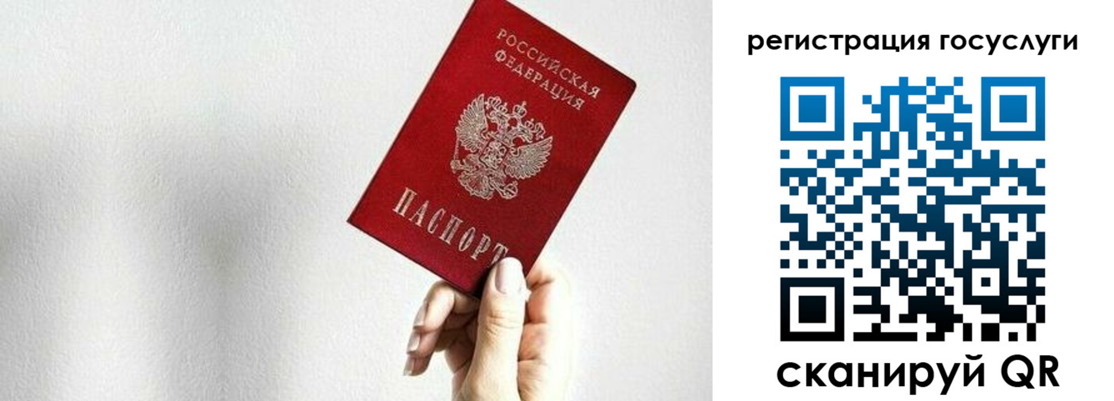 временная регистрация гарантия в Бикине